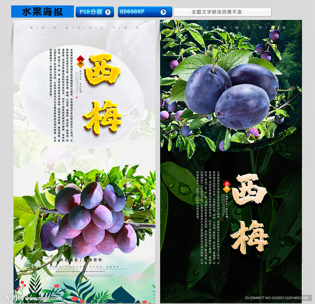 西梅