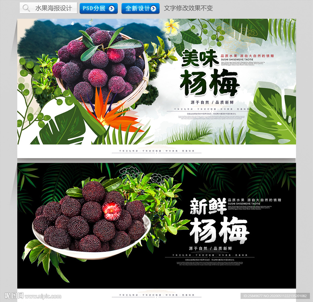 杨梅