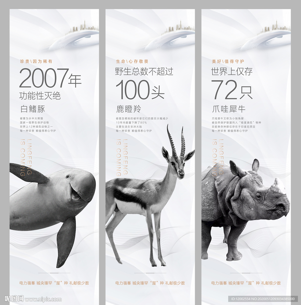 地产 海报 珍稀动物 微信