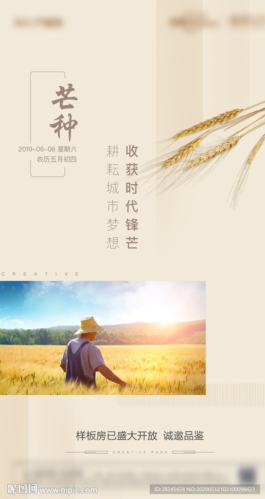 芒种