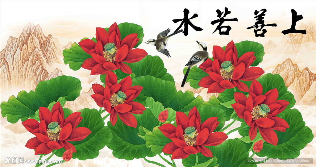 荷花