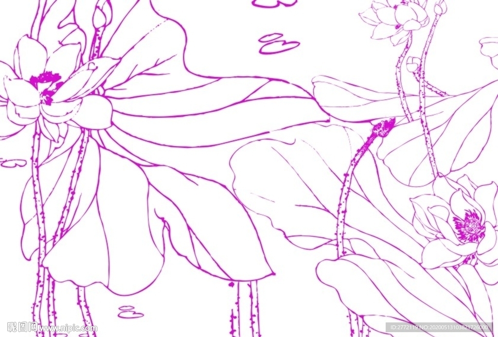 水宫芙蓉  荷花国画