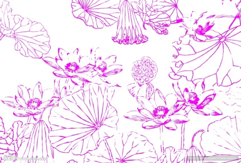 荷花世界 古代画