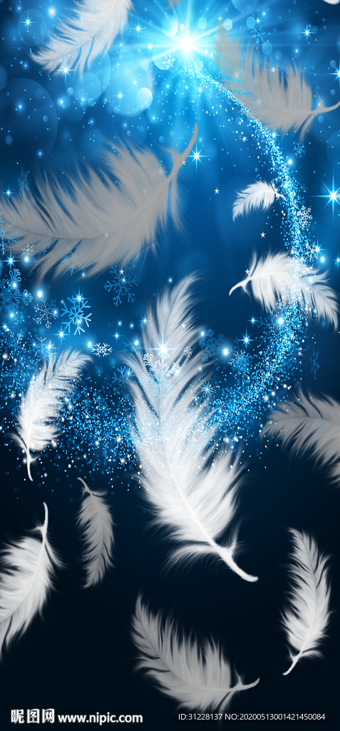 白色梦幻羽毛装饰画