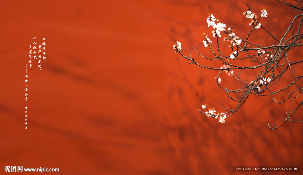 梅花