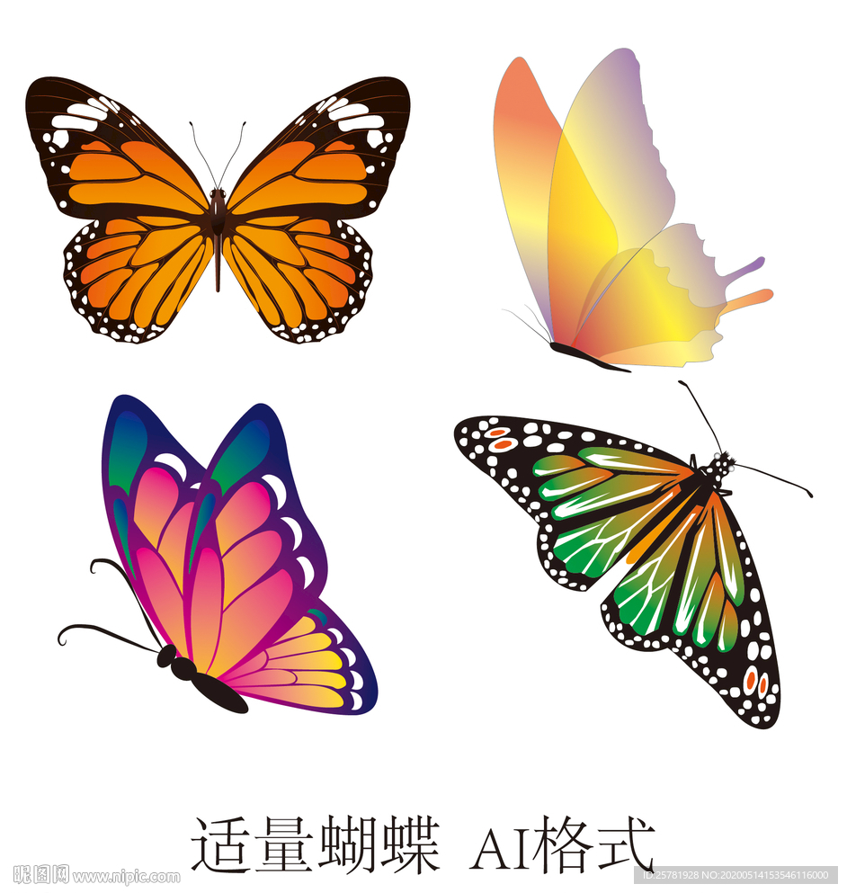 蝴蝶矢量图