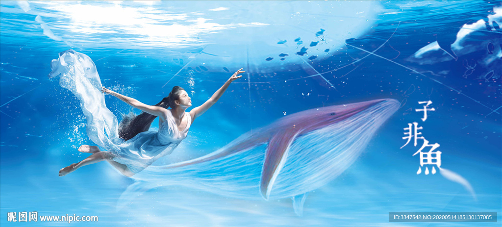 子非鱼 背景画