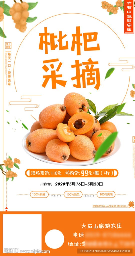 枇杷采摘