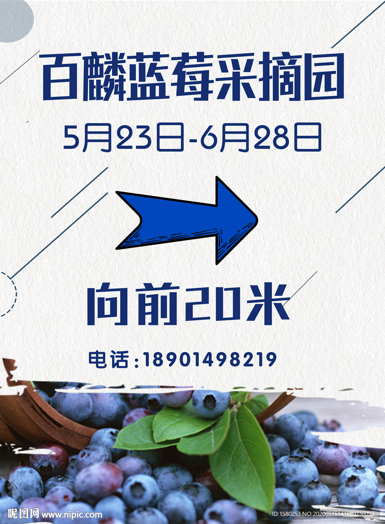 蓝莓指示牌