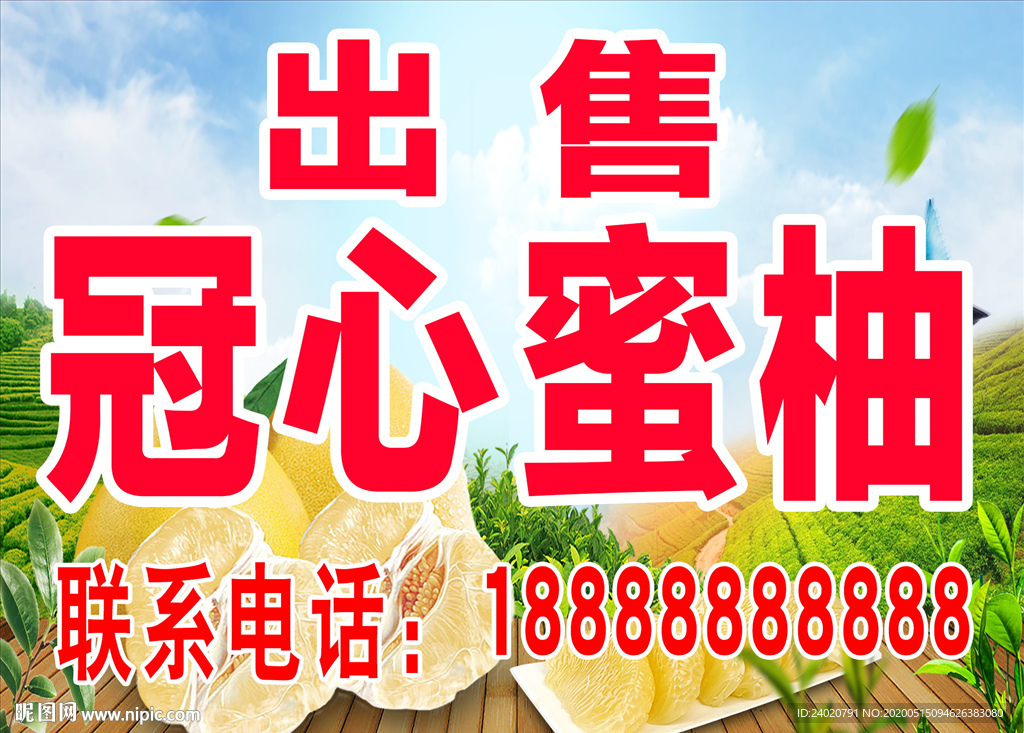 出售密柚海报