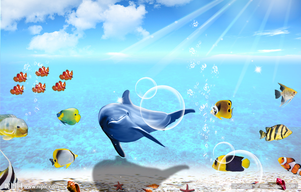 海洋