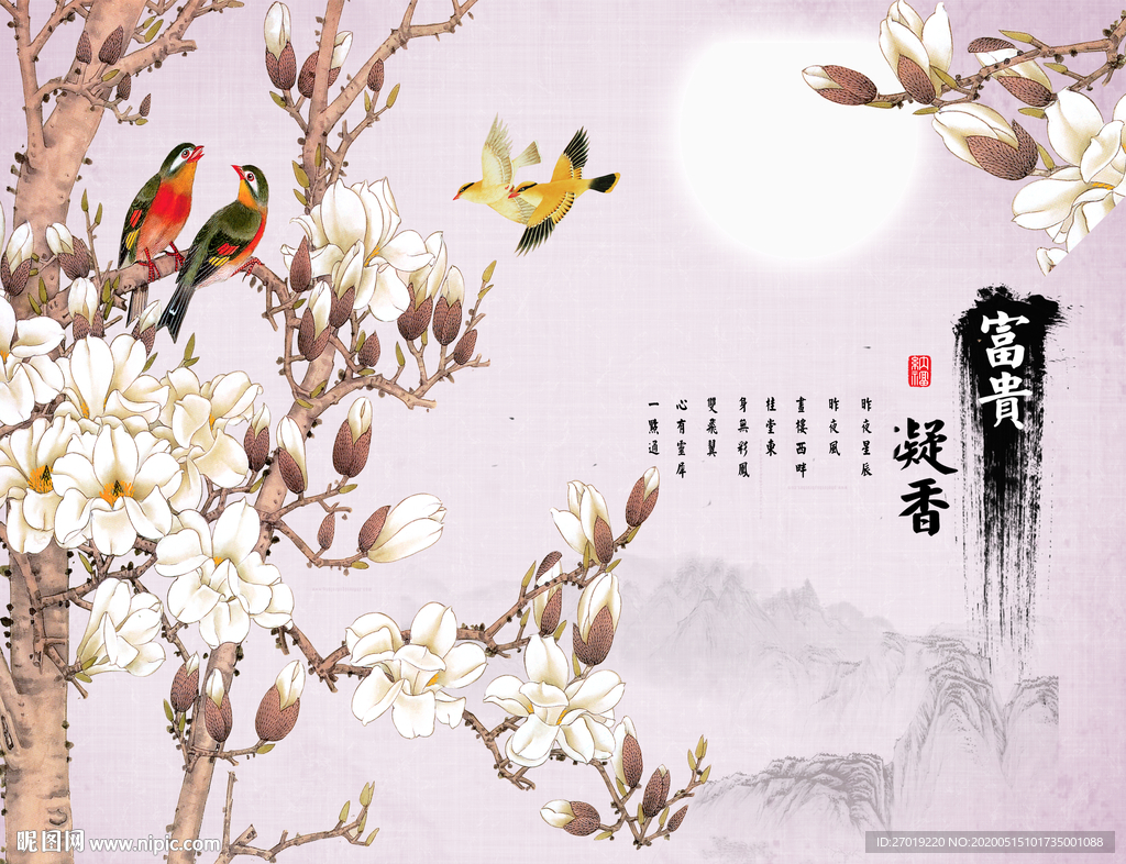 玉兰花