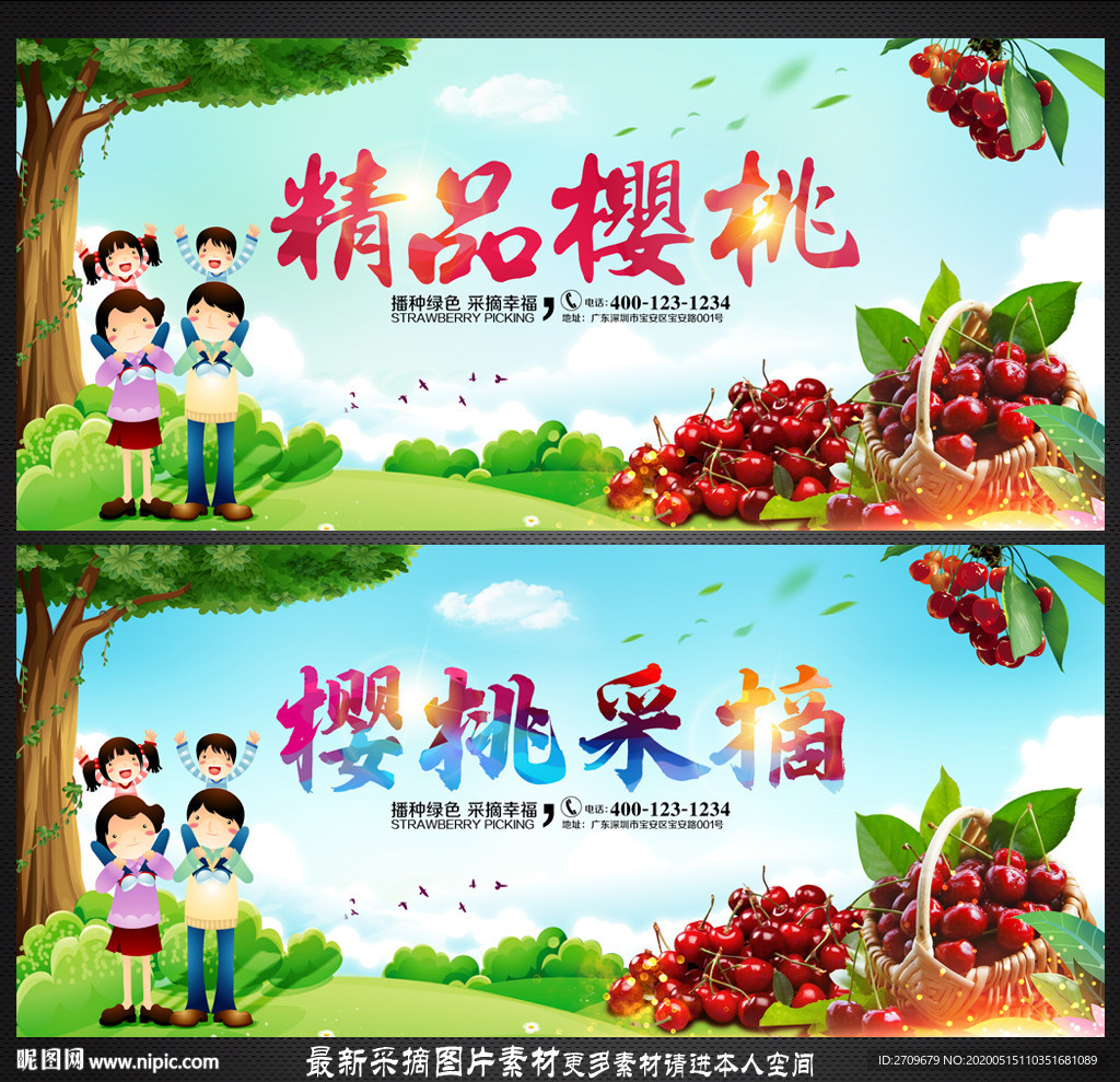 樱桃采摘