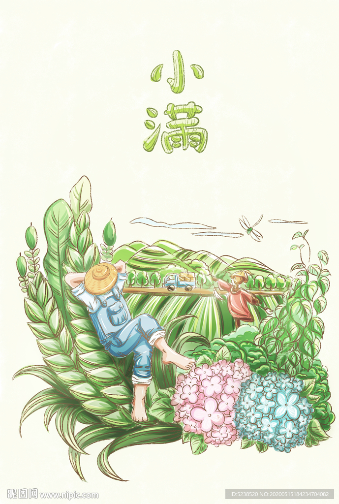小满节气插画手绘