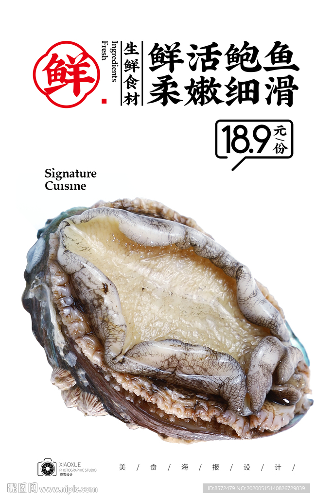 鲍鱼