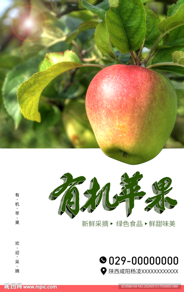 有机苹果
