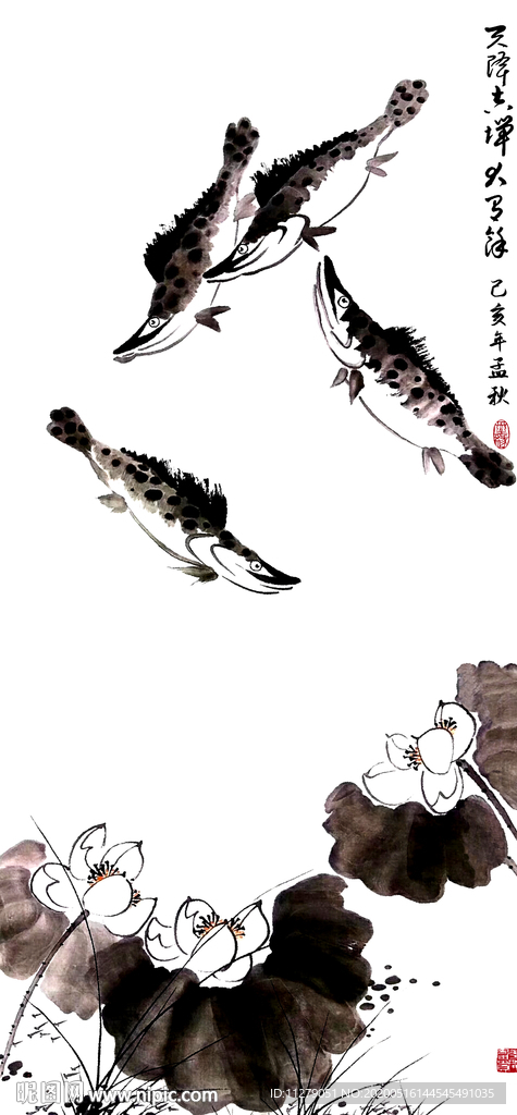 荷花鱼