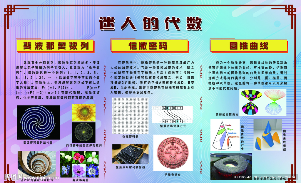 数学美 代数