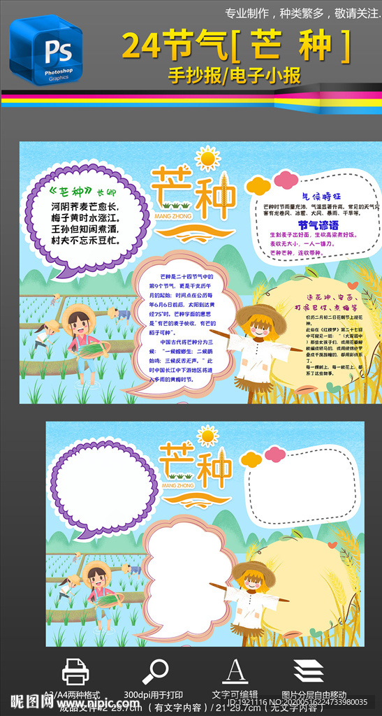 24节气芒种手抄报小报