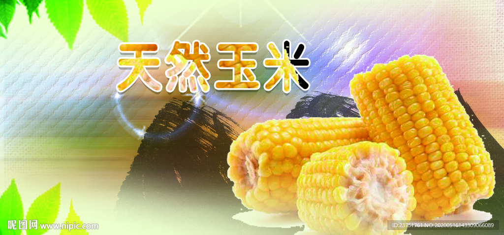 玉米