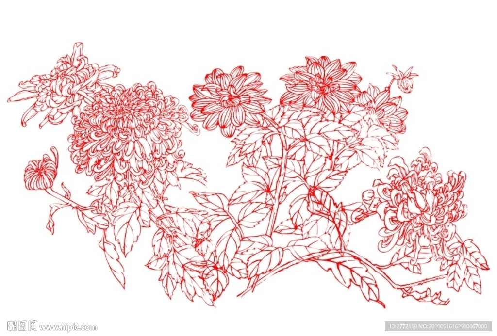 咏菊花香  工笔画