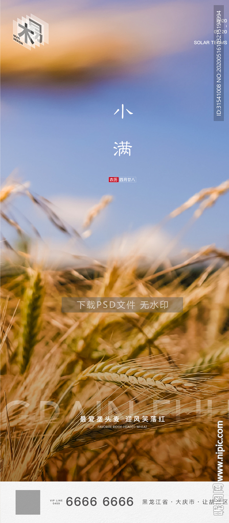 小满 节气