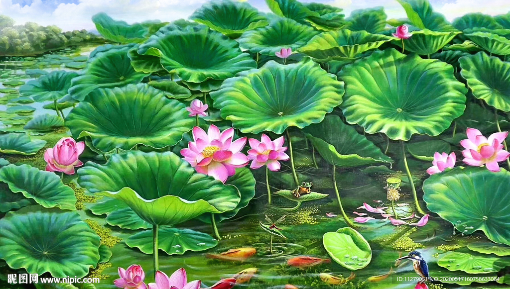 荷花