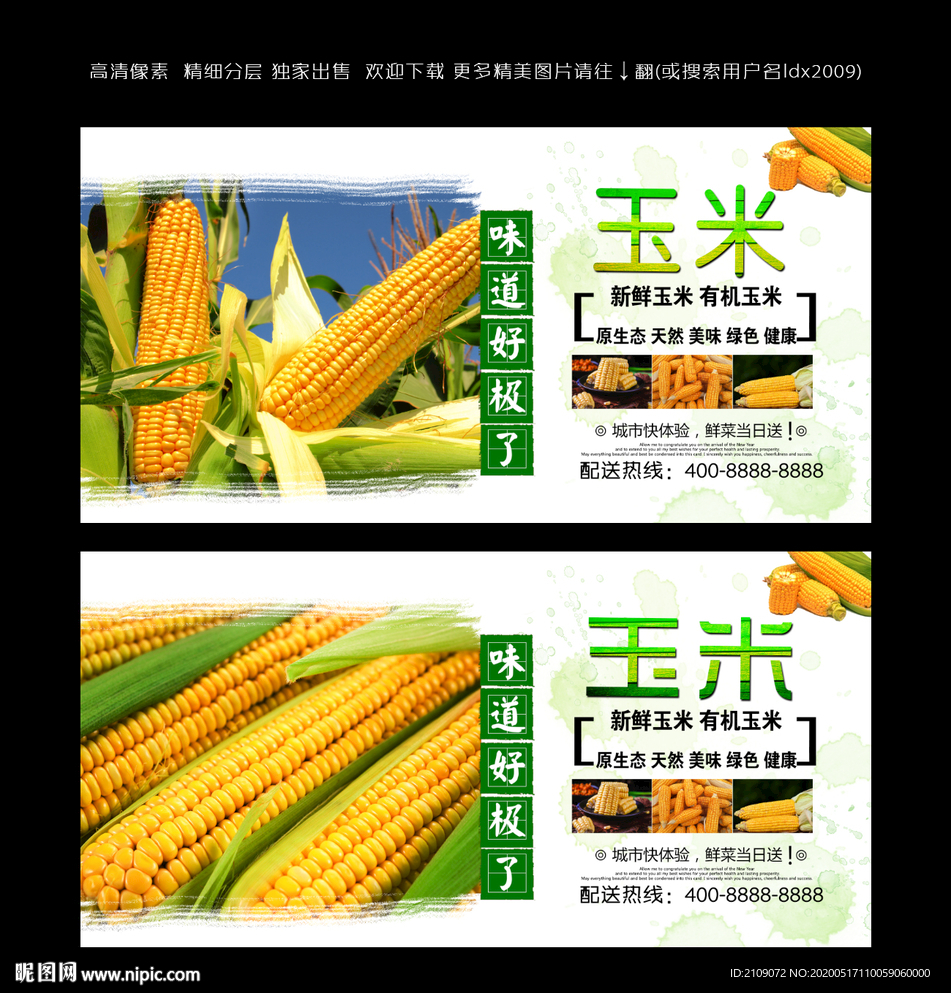 玉米