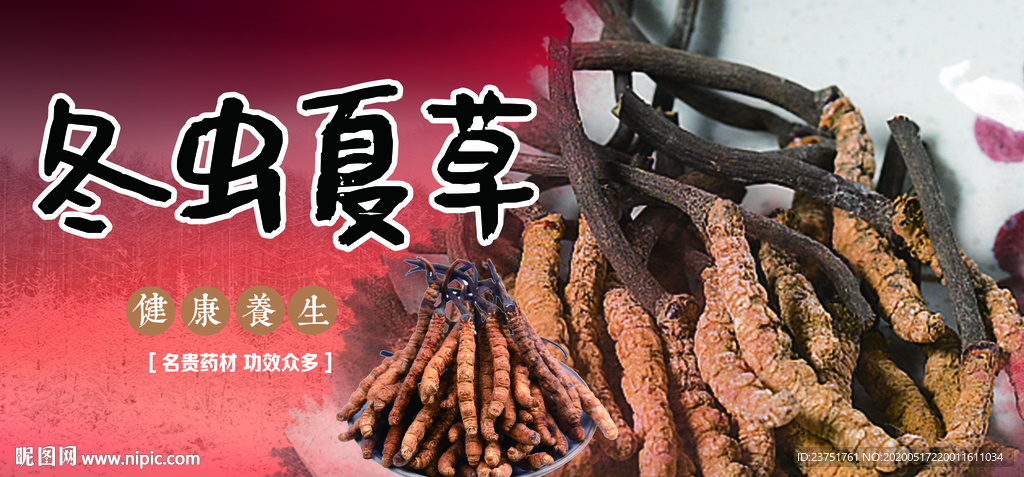 冬虫夏草