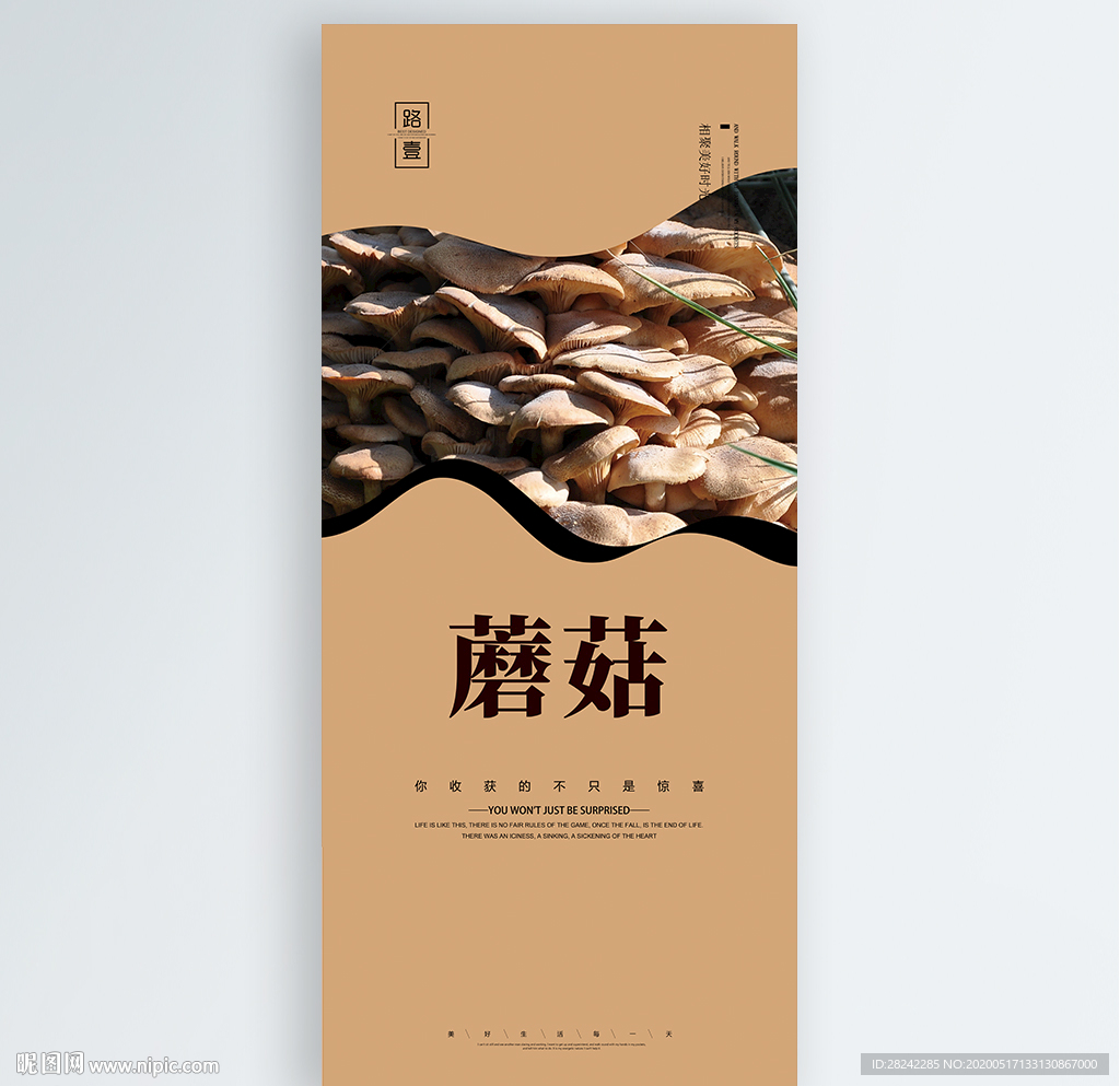 蘑菇