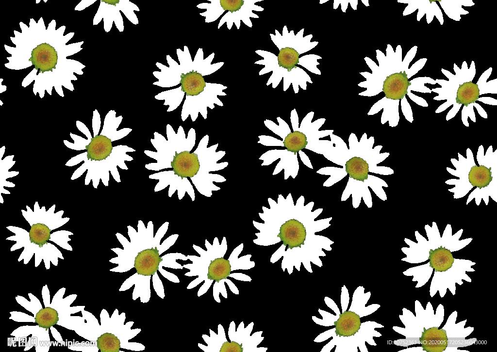 菊花 黑底花