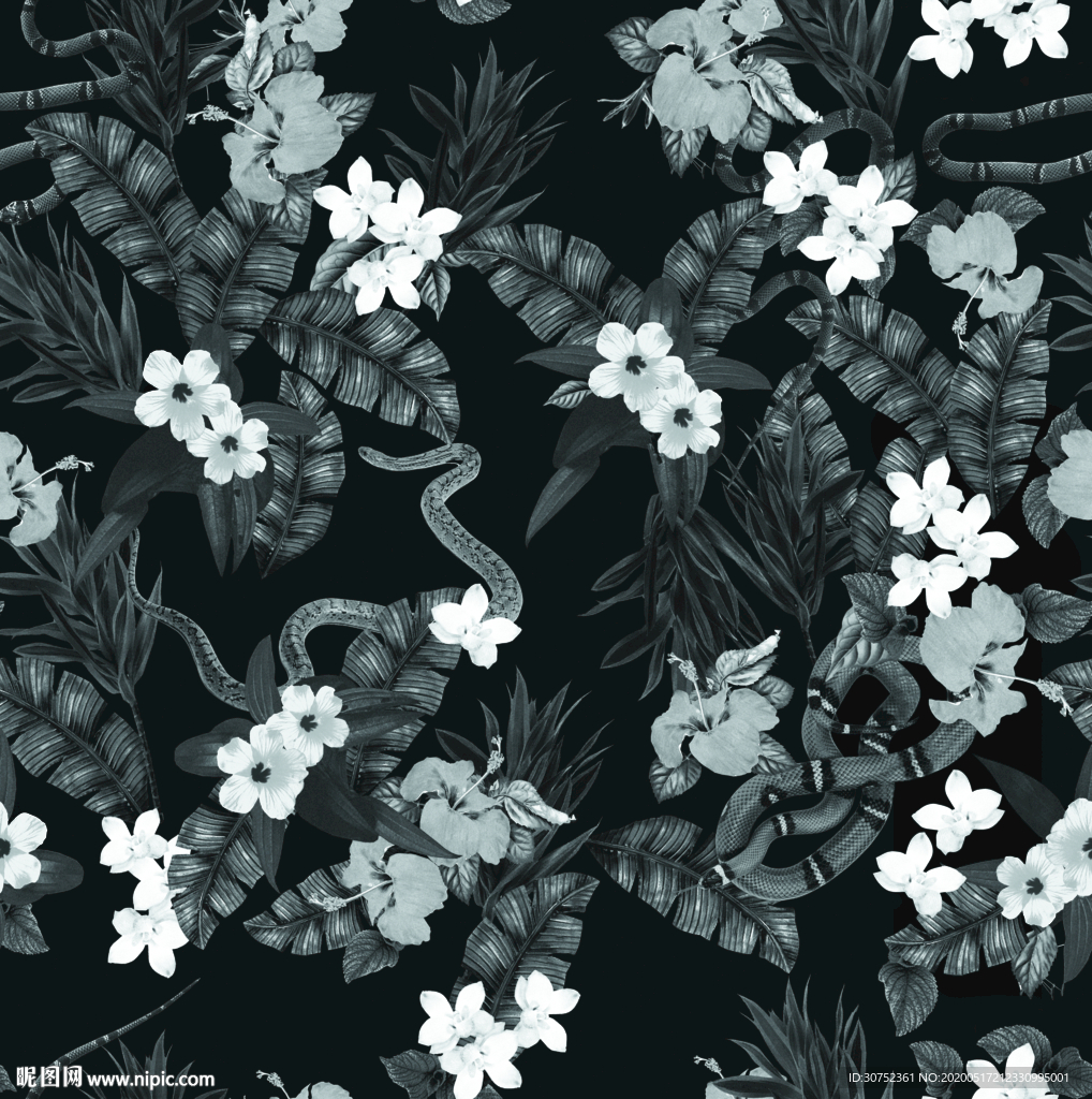 高档花 蛇花 小花