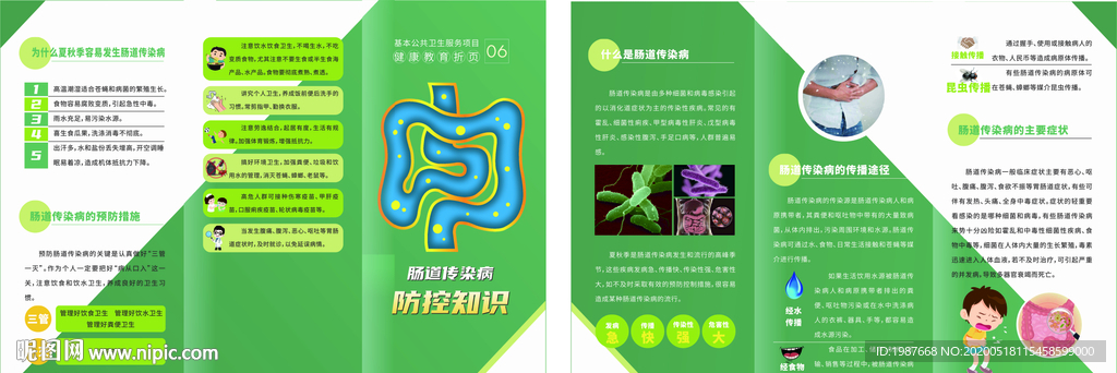 2020基卫三折页第6种肠道