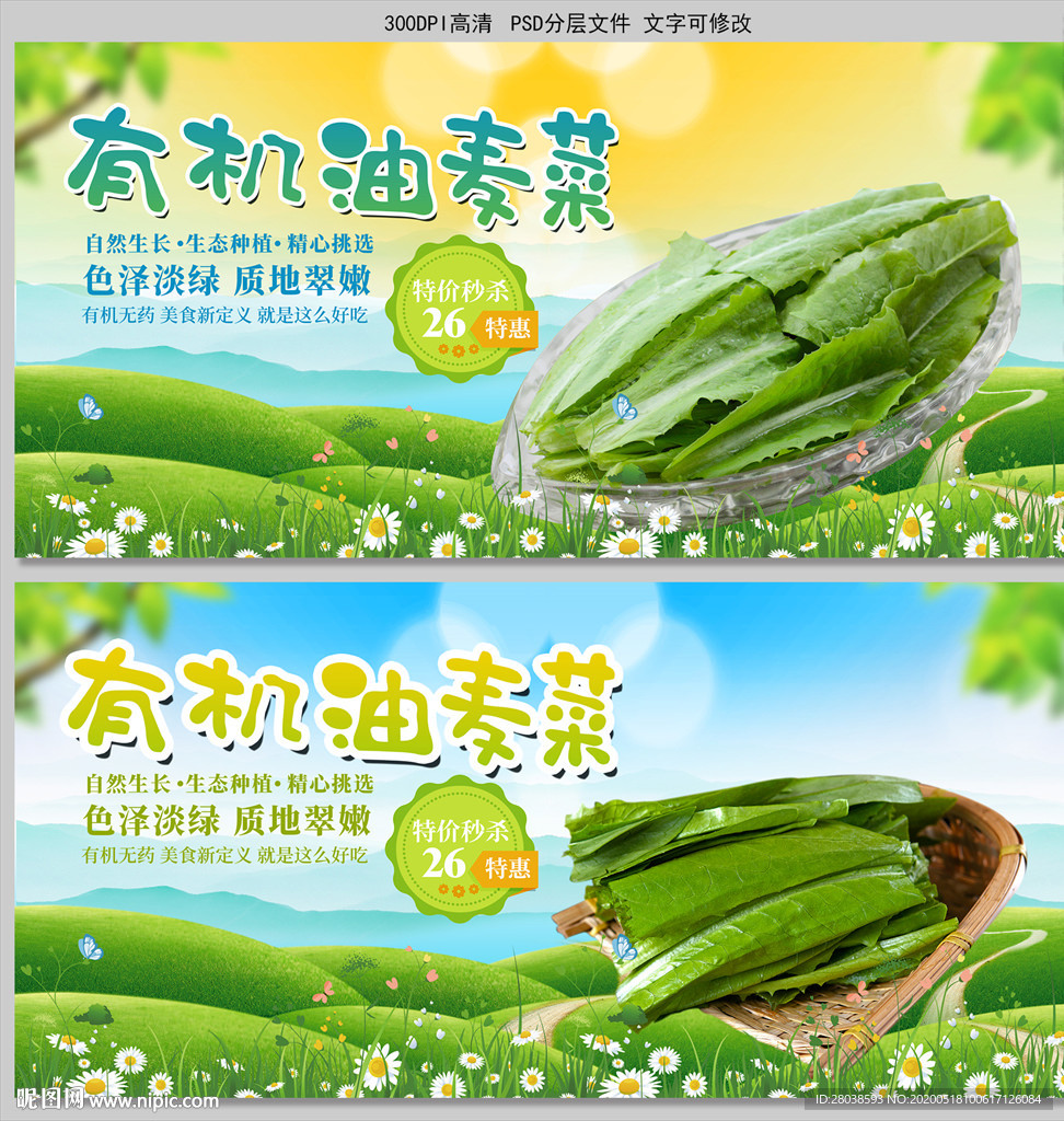 油麦菜