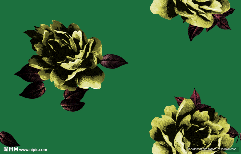 玫瑰花  手绘花 高清数码文件