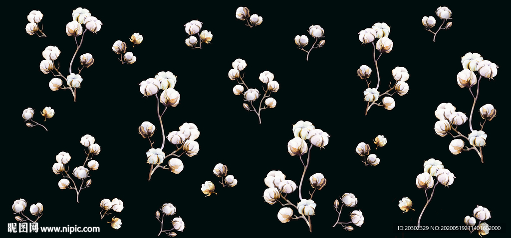黑底棉花枝