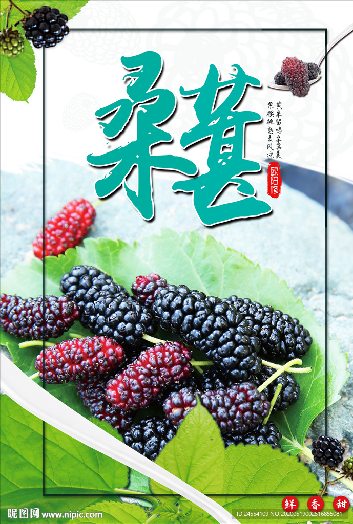 桑葚
