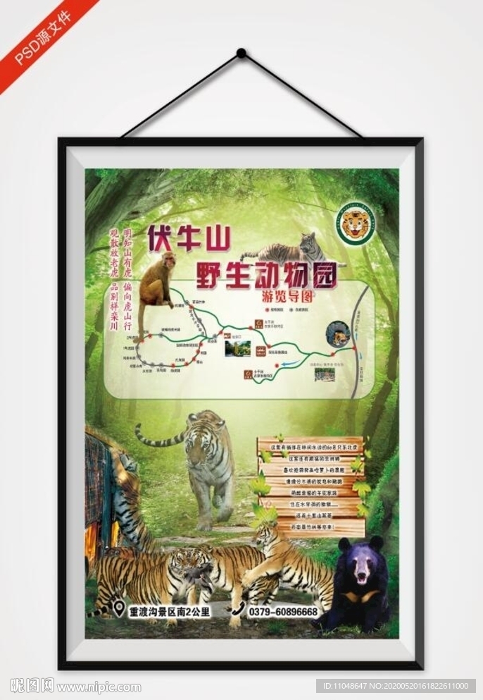 野生动物园海报