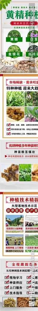 黄精招商加盟详情页面