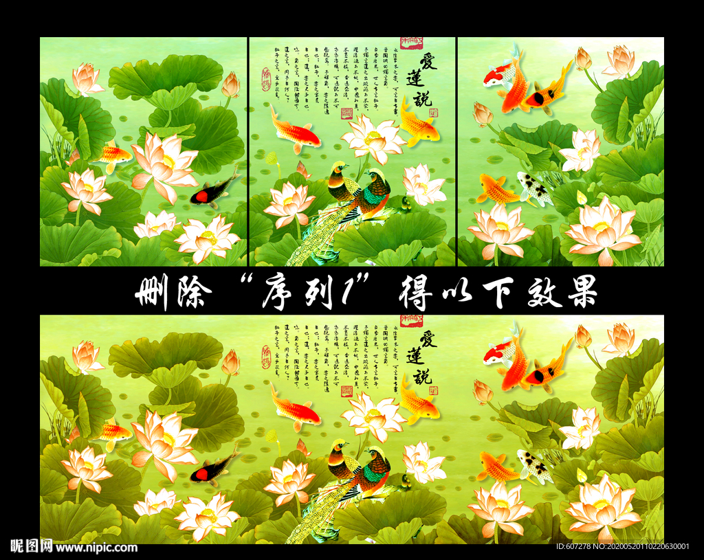 荷花
