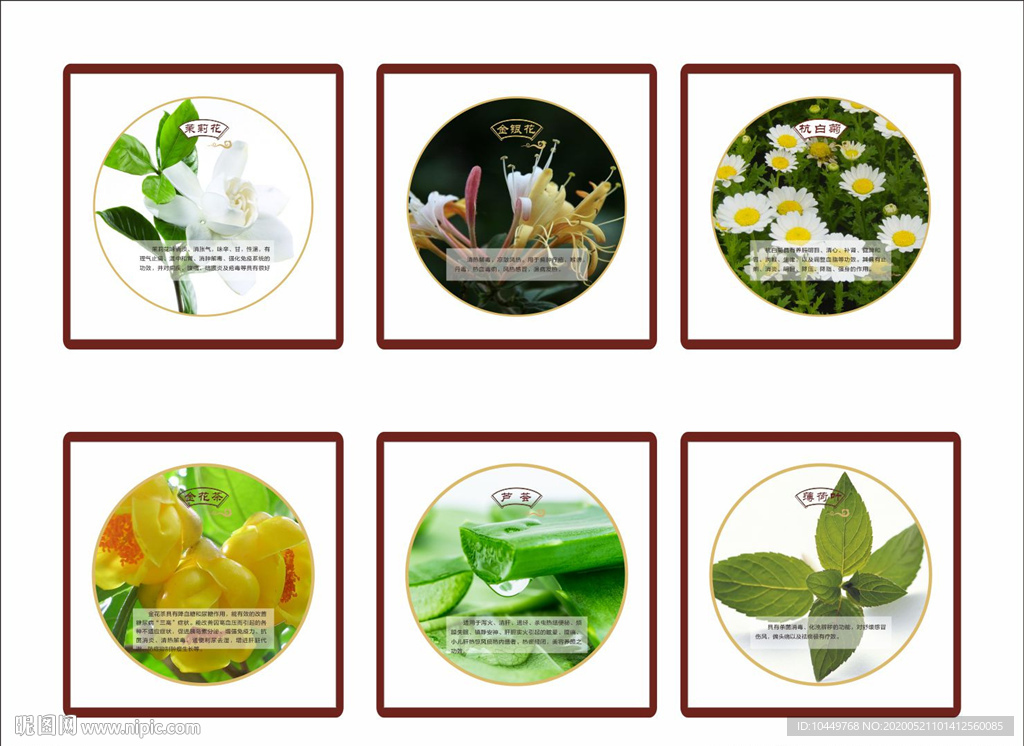 中药图  百草图   中草药图