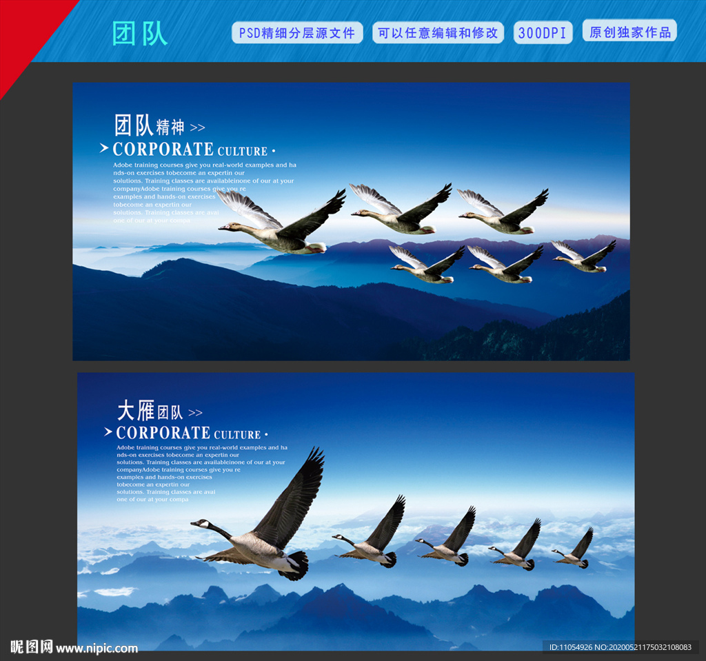 团队