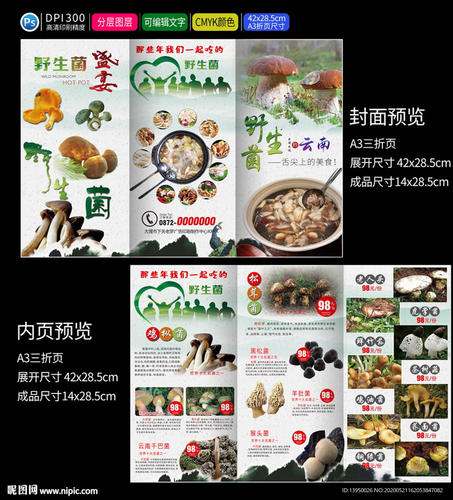 野生菌海报 野生菌宣传单