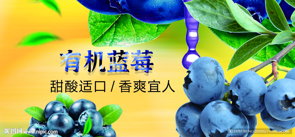 蓝莓