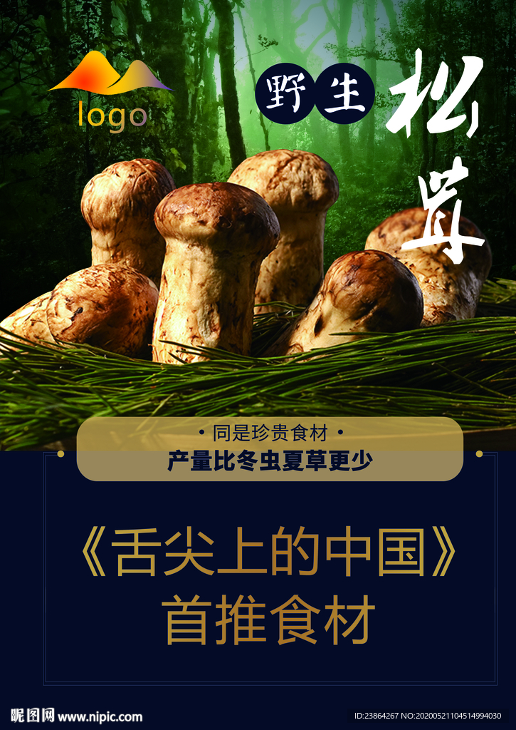 松茸野生食材宣传单页DM单