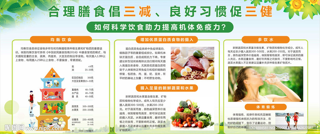合理膳食宣传栏  健康饮食
