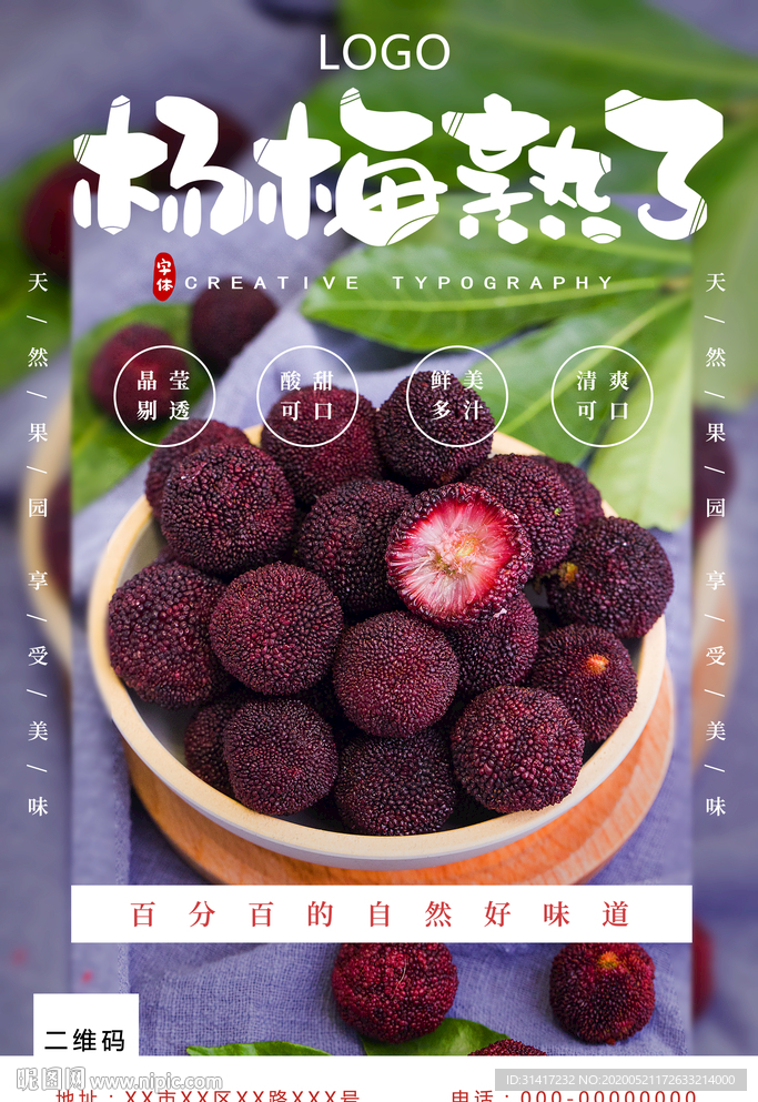 杨梅 杨梅熟了