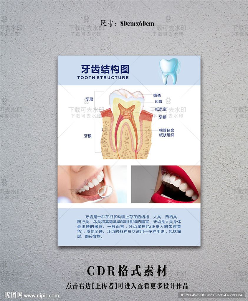 牙科海报设计模板