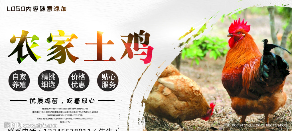 农家土鸡海报
