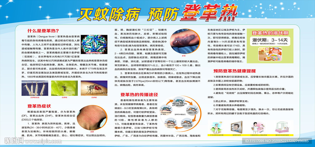 登革热宣传栏
